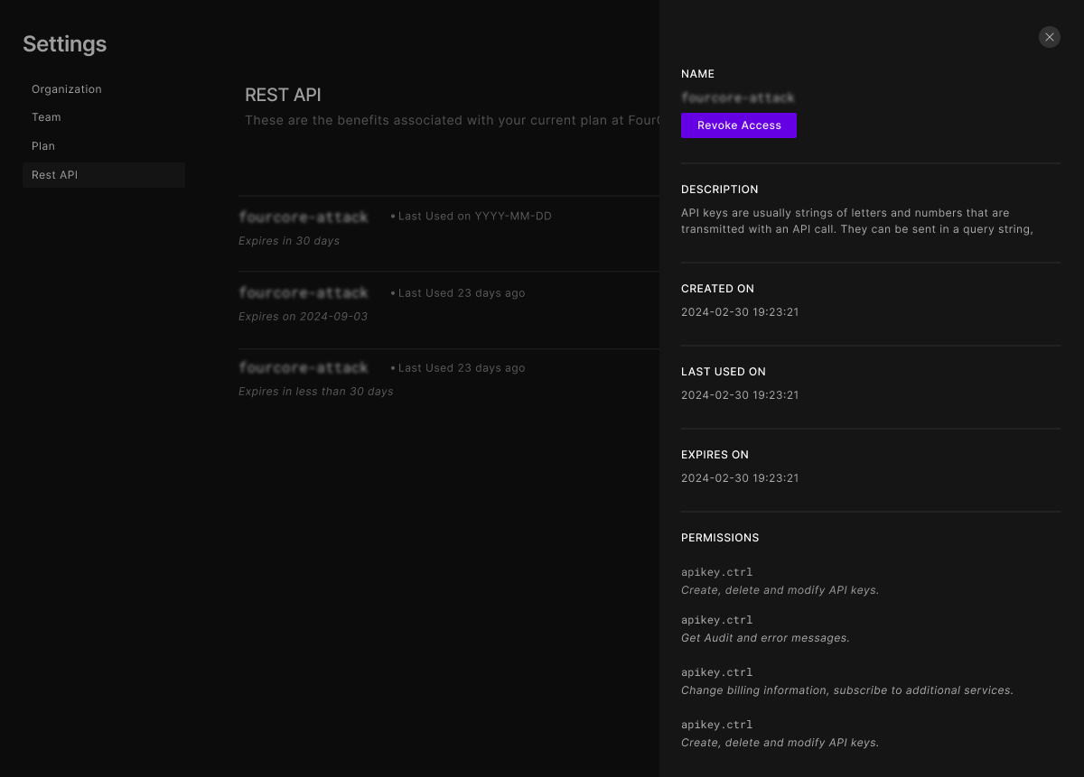 API keys, with a key opened
